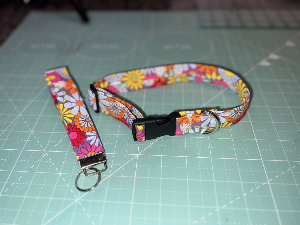 Pet Collar